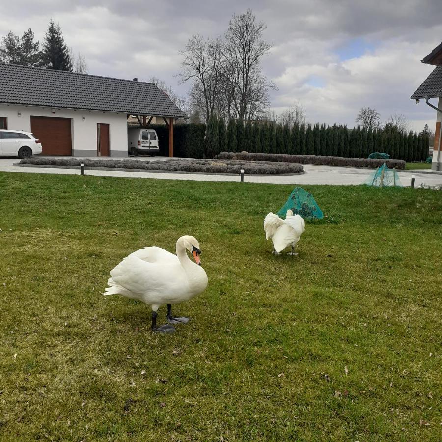 Agroturystyka Aura Kostrzyca Екстер'єр фото